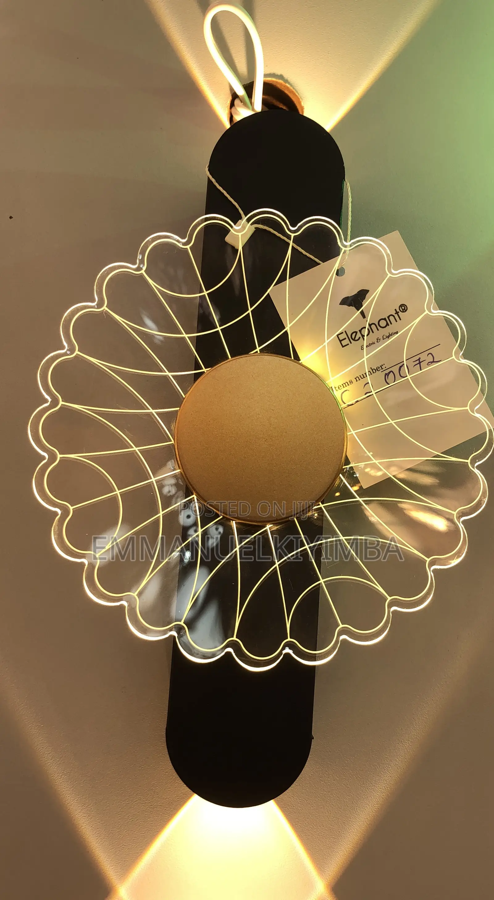 Wall Light 2in1