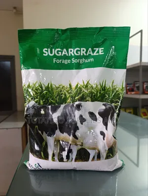 Sugargraze Forage Sorghum-1kg