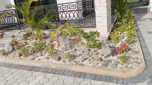 Landscaping/Compound Designing Services Where Vision Meets Verdancy