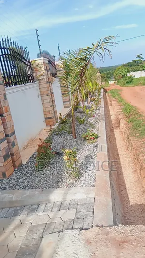 Landscaping/Compound Designing Services Where Vision Meets Verdancy
