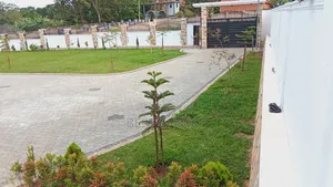 Landscaping/Compound Designing Services Where Vision Meets Verdancy