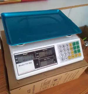 Industrial And Medical Weigh Scale 40kg Weigh Digital Weighing Scale