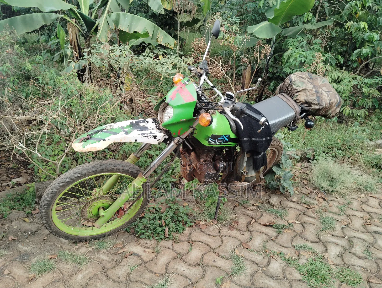 Yamaha 2018 Green