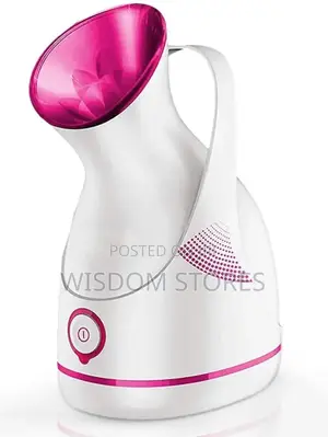 Electric Sauna Facial Steamer