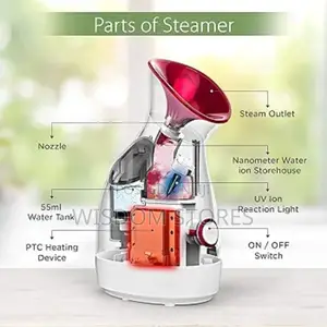 Electric Sauna Facial Steamer