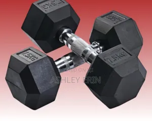 Pair of Rubber Coated Dumbbells 7.5kg Black Silver