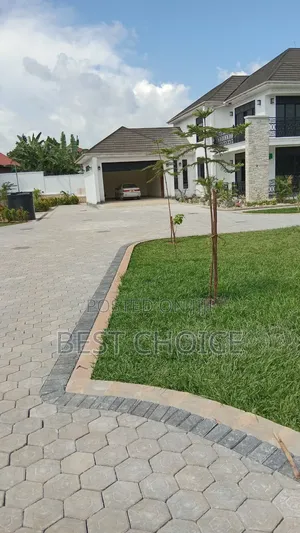 Compound Designing and Land Scaping Services Creating Your Dream Yard
