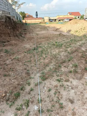 Borehole Drilling