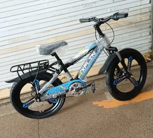 Size 20 Zex Bicycle