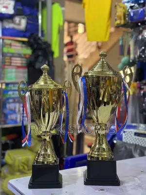 Winning Sports Trophies (Set Of 2pcs)