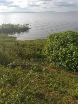 23 Acres of Land in Nkokonjeru Touching on Victoria, 25kms Off Tarmac