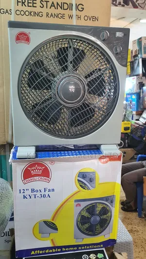 Changli Box /Table Fan