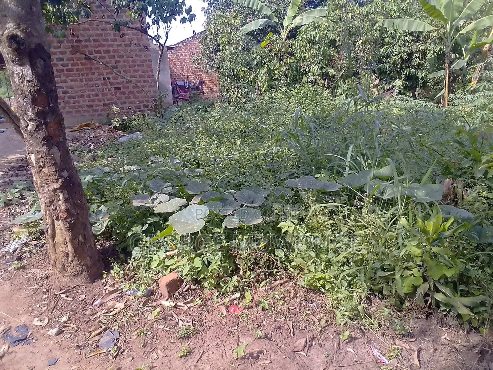 Commercial Plot for Sell