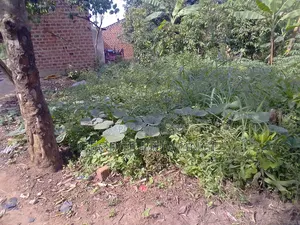 Commercial Plot for Sell