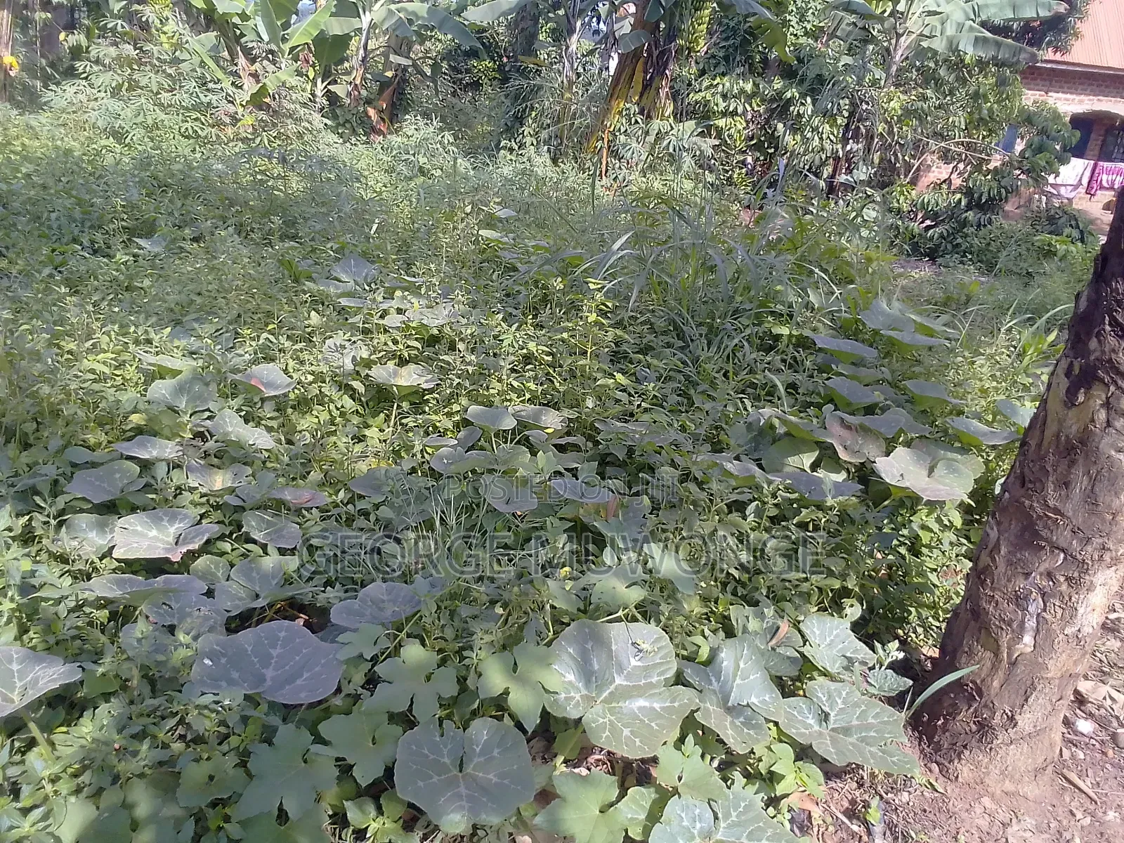 Commercial Plot for Sell