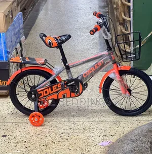 Orange Kids Bicycle Size 16