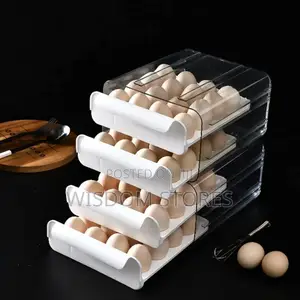 Double Layer Refrigerator Egg Storage Box