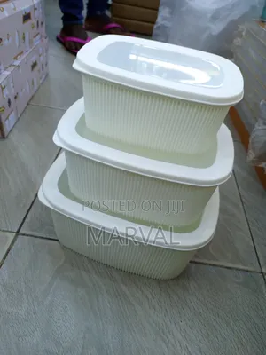 Set of Plastic Food Storage Containers With Lids