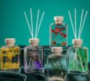 1 Piece of Reed Diffuser Set for Bathroom Air Fresheners,Frozen