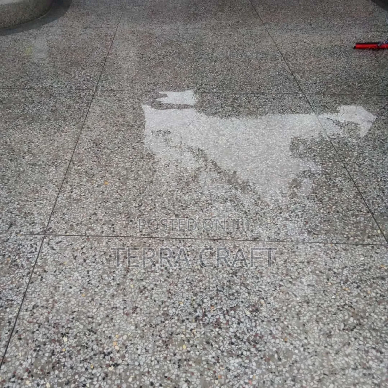 Terrazzo Floors Made Great