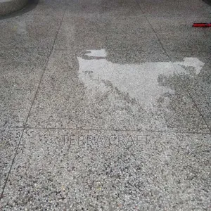 Terrazzo Floors Made Great