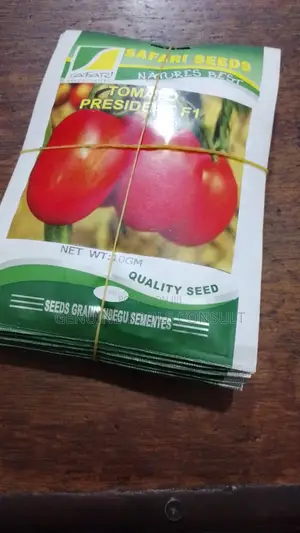 President F1 Tomato Seeds