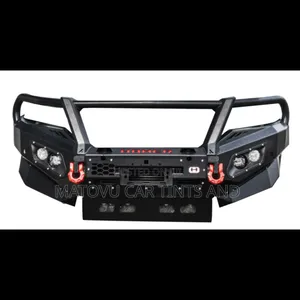 Denis Car Bullbars