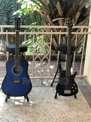 Irin Acoustic Guitars