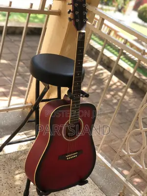 Irin Acoustic Guitars