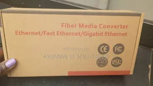 Gigabit Media Converters With Two Ports
