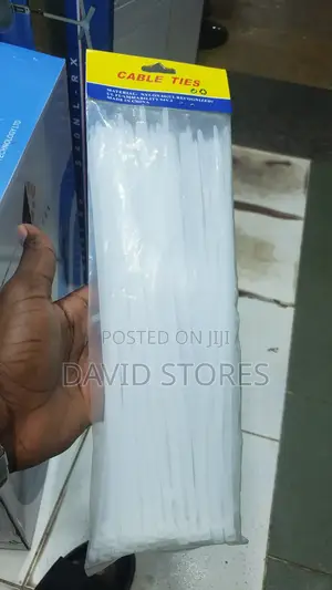 Nylon Cable Ties (100)