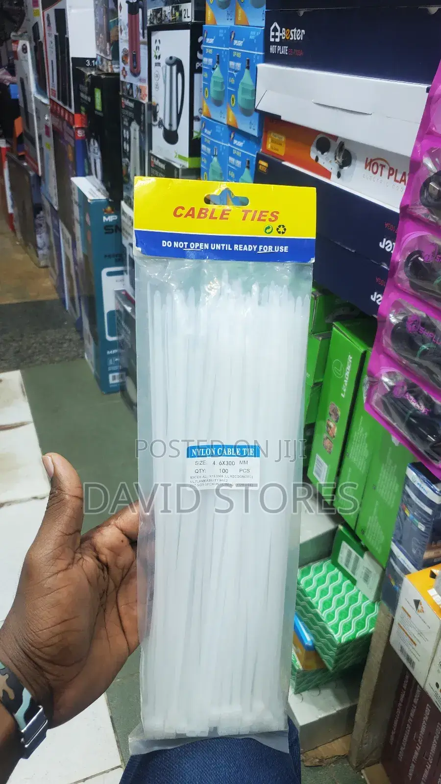 Nylon Cable Ties (100)
