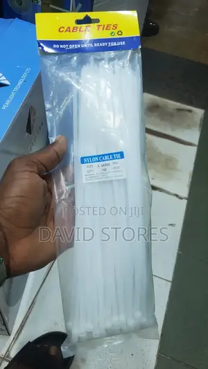Nylon Cable Ties (100)