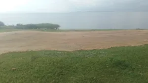 2 Acres of Beach Land in Kiyindi Nkokonjeru Touching on Lake Victoria