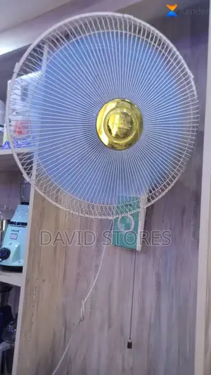 Evernal Wall Fan