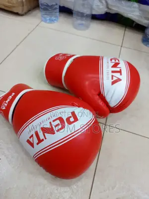 Penta Boxing Gloves.