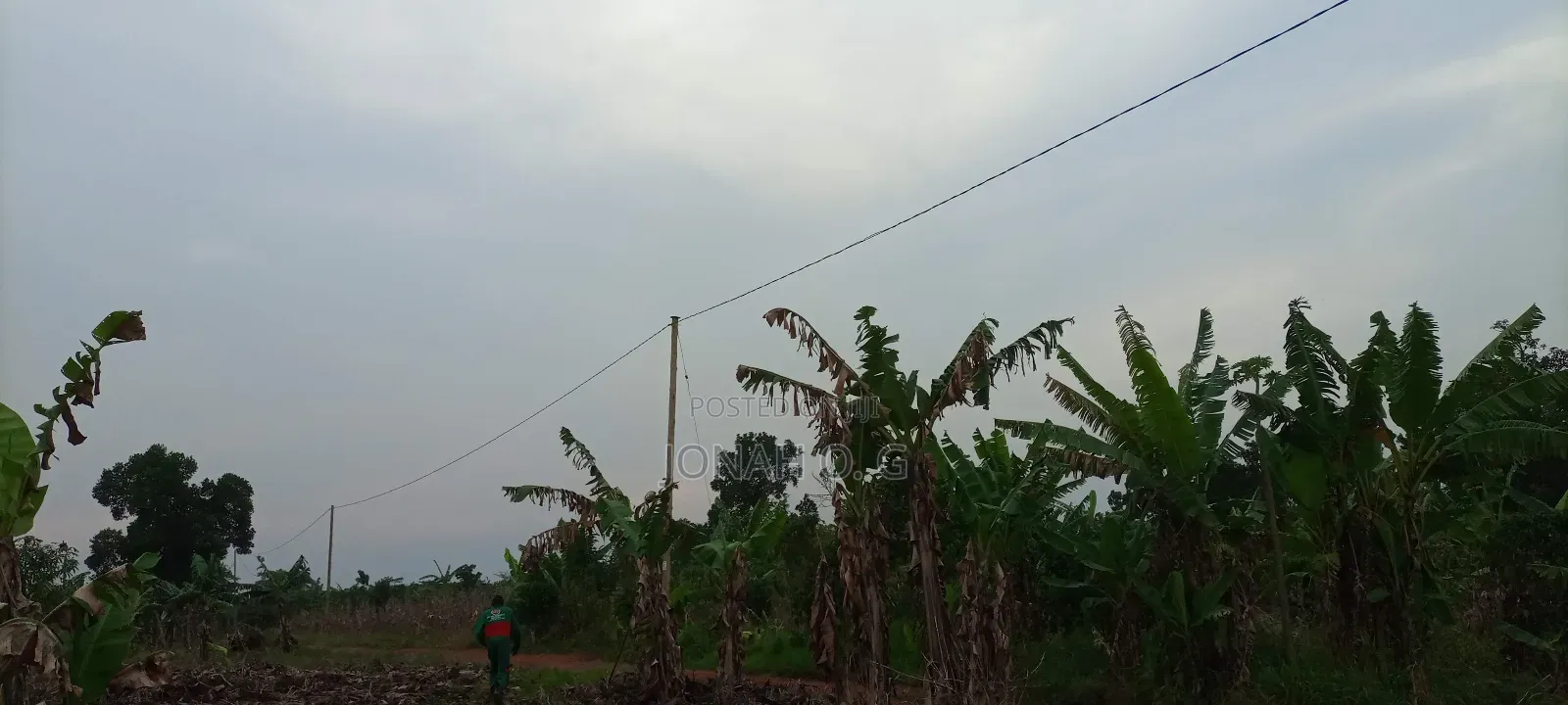 Transformer Installation Power Line Construction Services