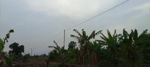 Transformer Installation Power Line Construction Services