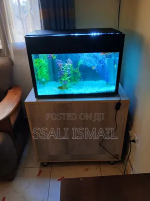 The Well Designed Black Fish Tank