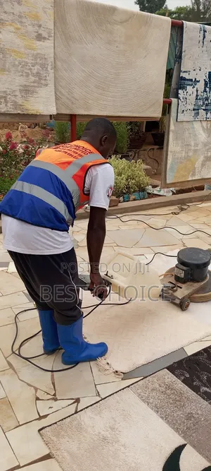 Carpet Cleaning Experts You Can Trust