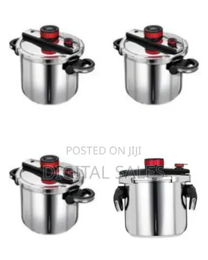 6l Intelligent Stainless Steel Pressure Cooker, Pressure Canner