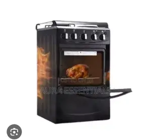 Winning Star Electric Cooker With Gas Burners