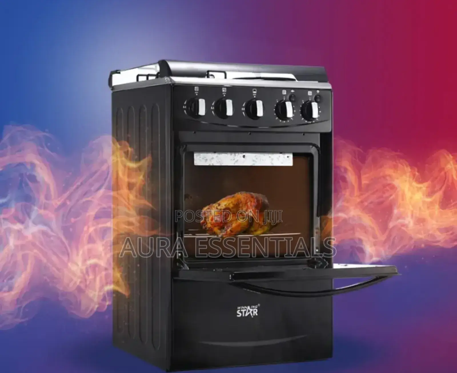 Winning Star Electric Cooker With Gas Burners