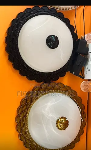 Ceiling Lights
