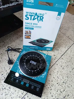 Winning Star St-9674-L Infrared Induction Electric Cooker.