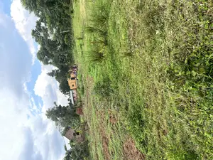 Mukono Kalagi