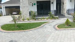 Expert Land Scaping Services Built on Trust Focused on Quality