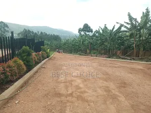 Grading Leveling Compound Designing and Land Scaping Made Simple