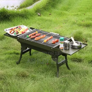 Portable Green Foldable Charcoal BBQ Grill