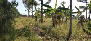 6 Acre Land With Tittle at Kibibi 25m Negotiable With a House